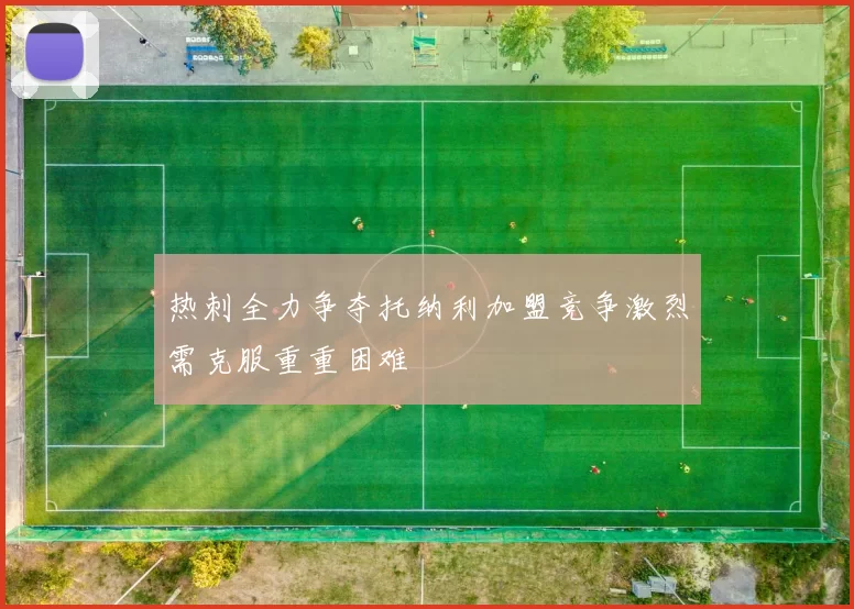 热刺全力争夺托纳利加盟竞争激烈需克服重重困难